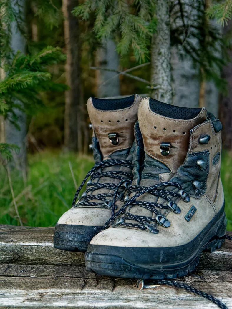 Laces and tongues of hiking boots.