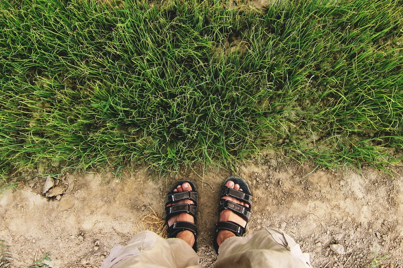 Sandals on an easy grassy path.