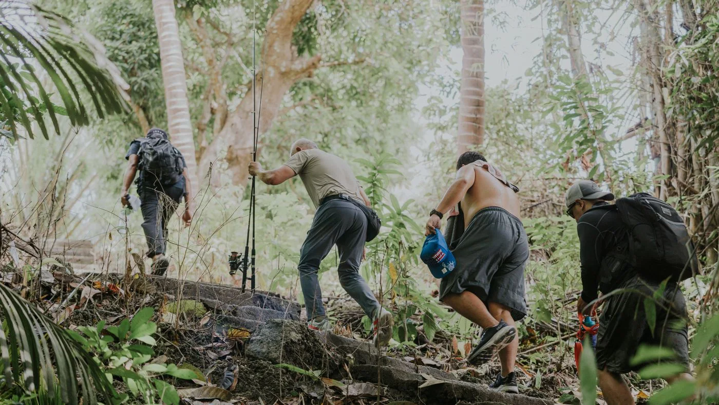 Walkers climbing steps in woodland.