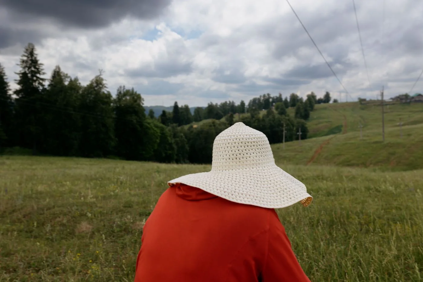 A broad-brimmed hat on a countryside outing.