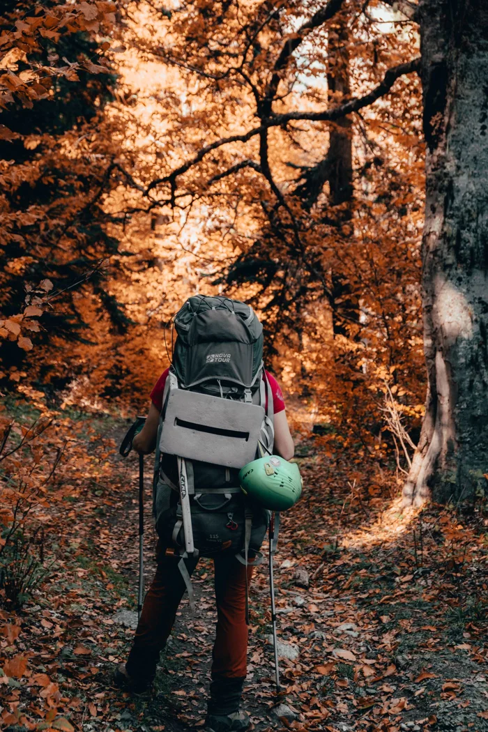 A walker carrying a backpack and trekking poles.