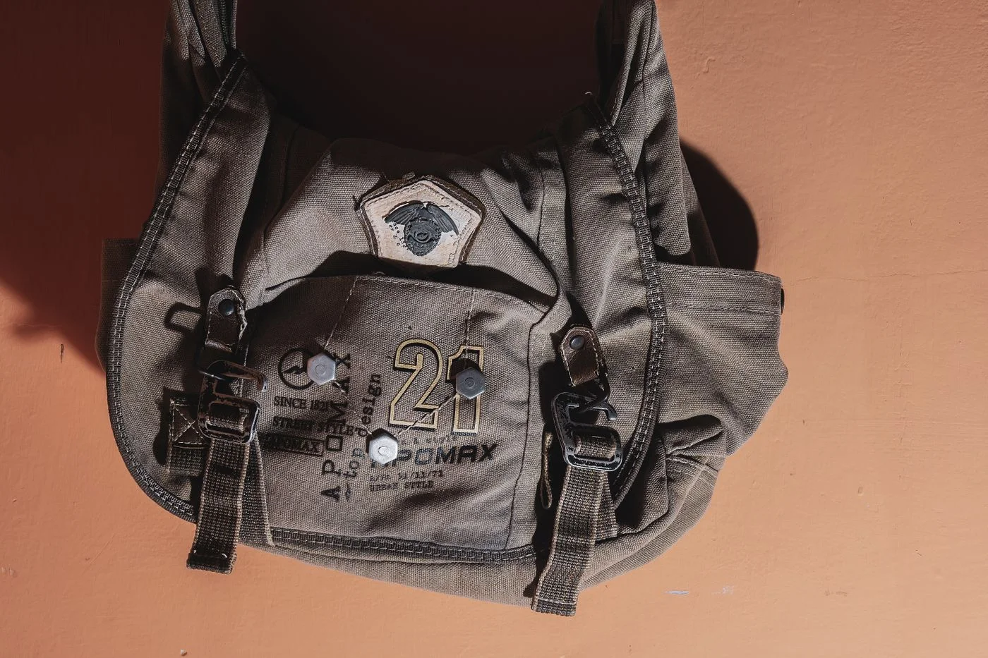 Buckles and webbing on a backpack.