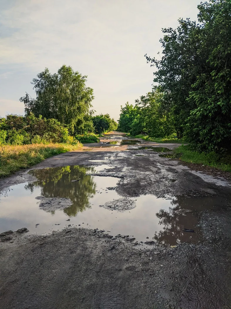 Mud and puddles on a country path.