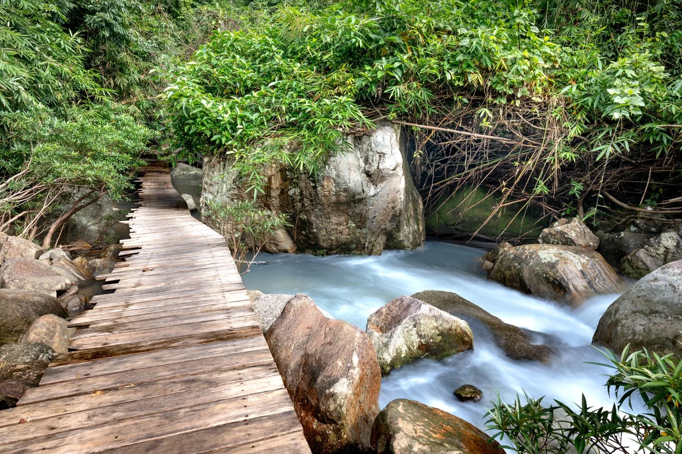 A narrow wooden footbridge over a stream.