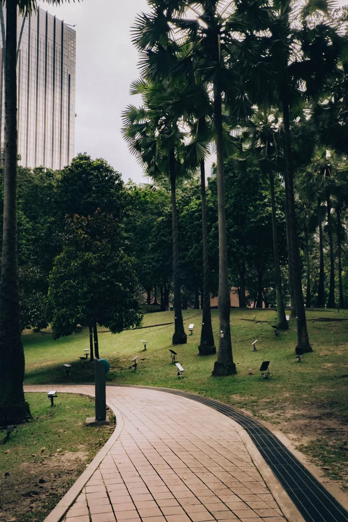 An urban park path near tall buildings.