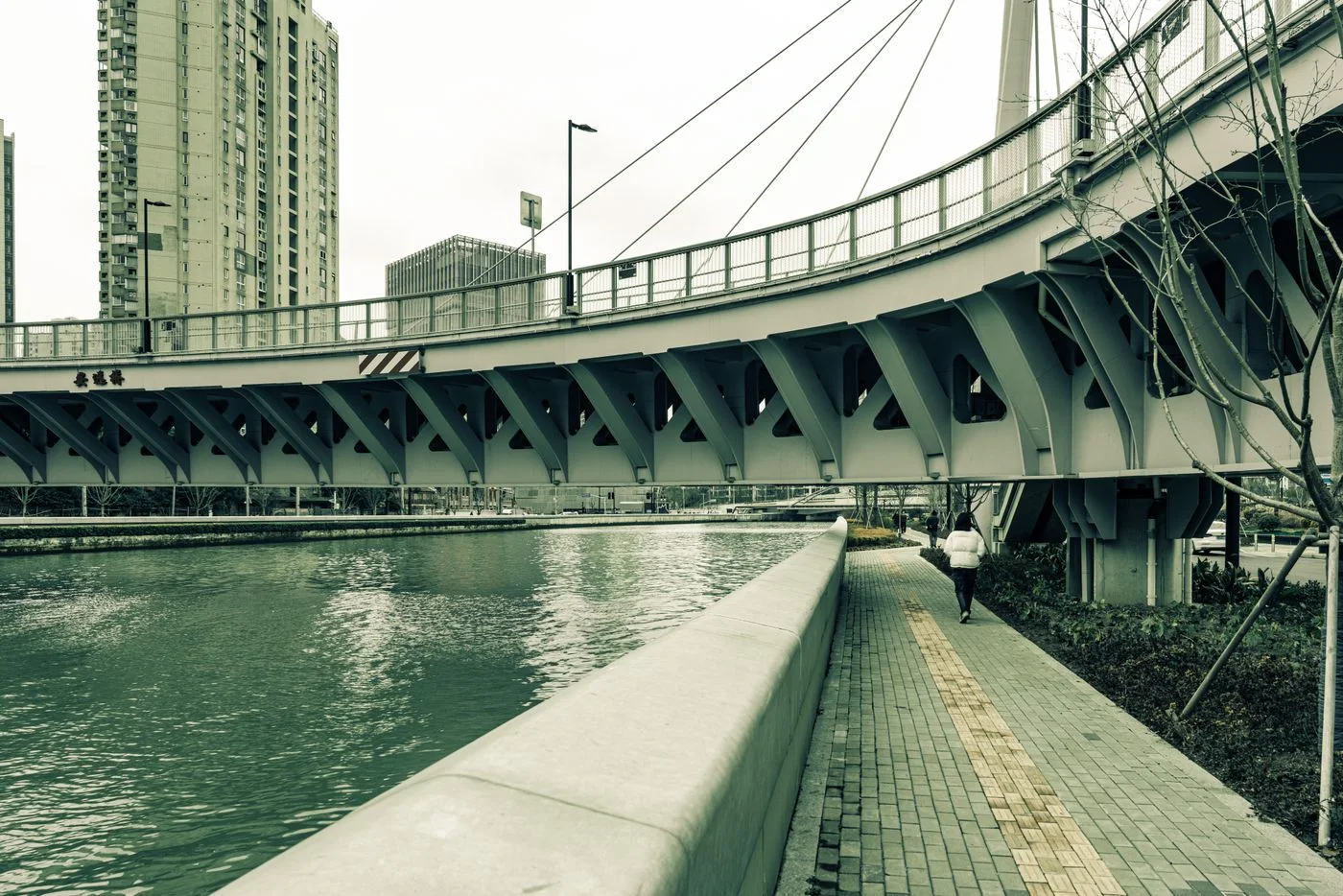 A riverside path beside an urban bridge.