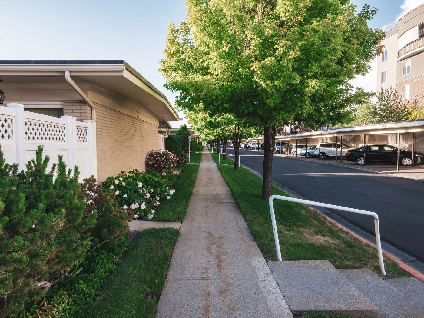 A pavement through a residential neighborhood.