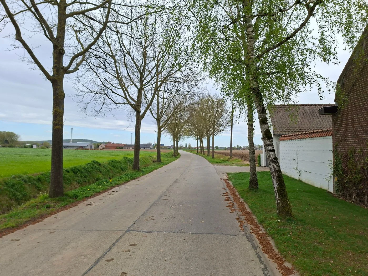 A narrow lane beside fields.