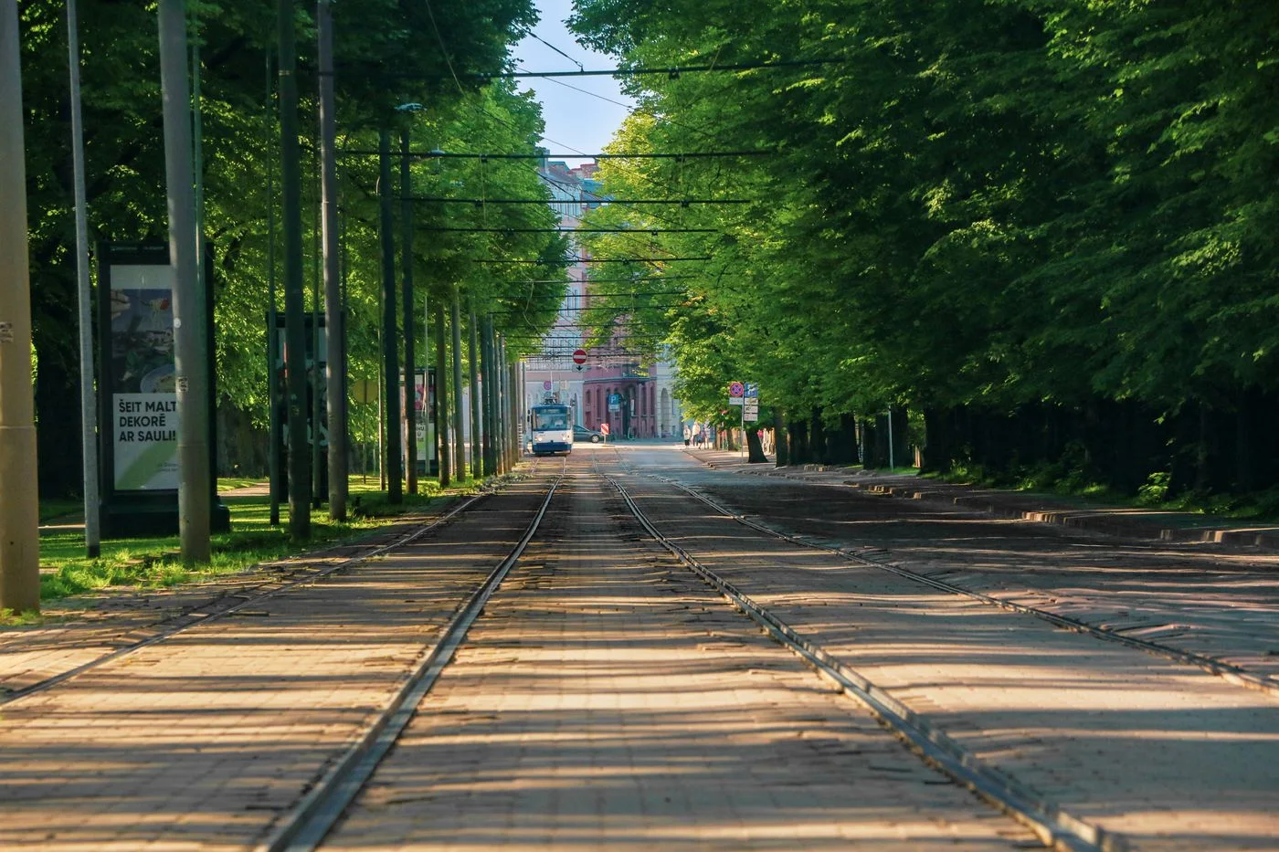 A tram line along a leafy street.